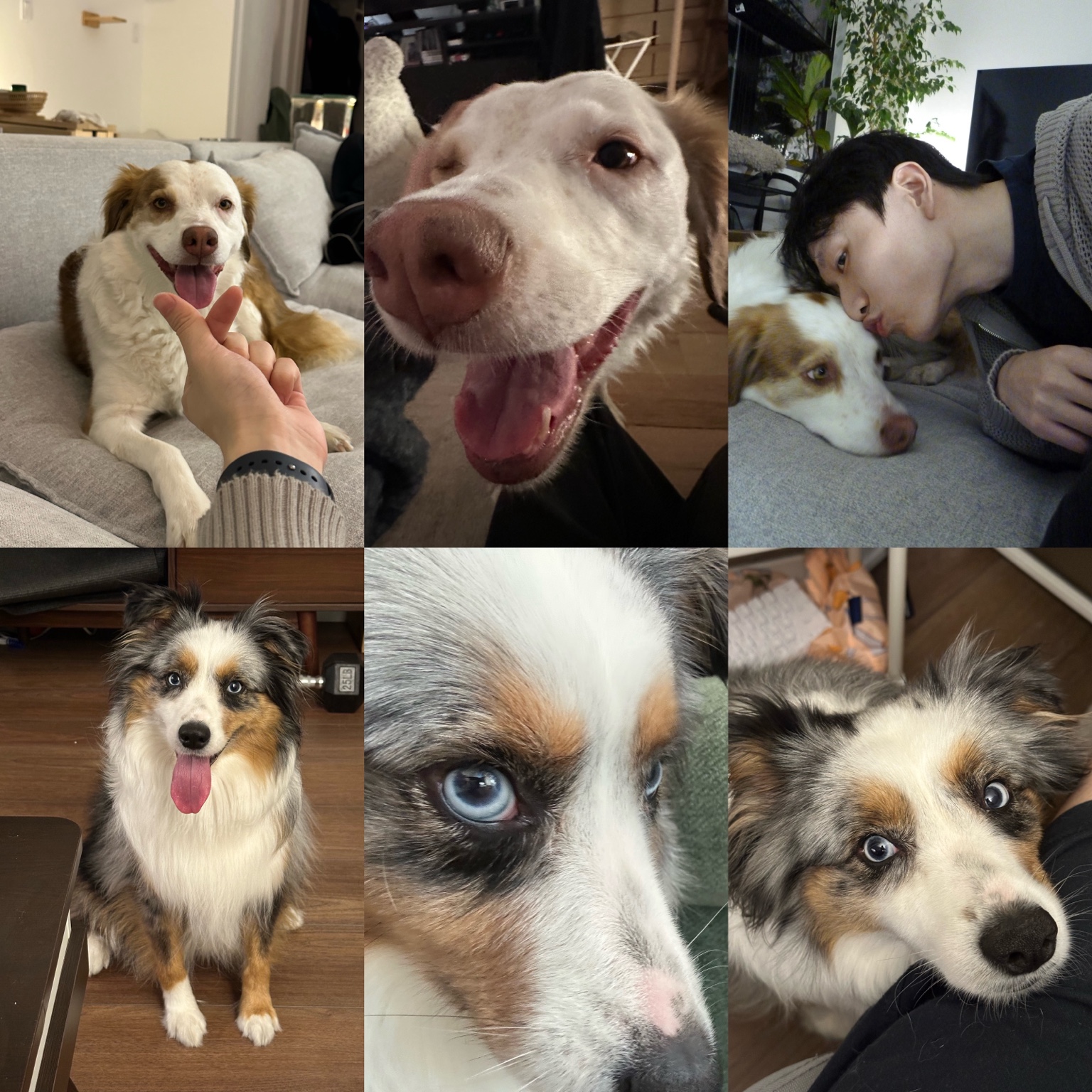 Leia and Bonnie collage